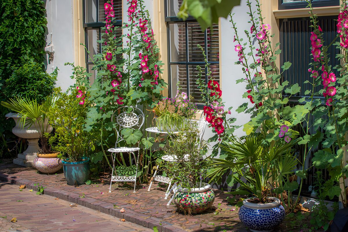 TP44054: Bloemrijke tuin met zitjes