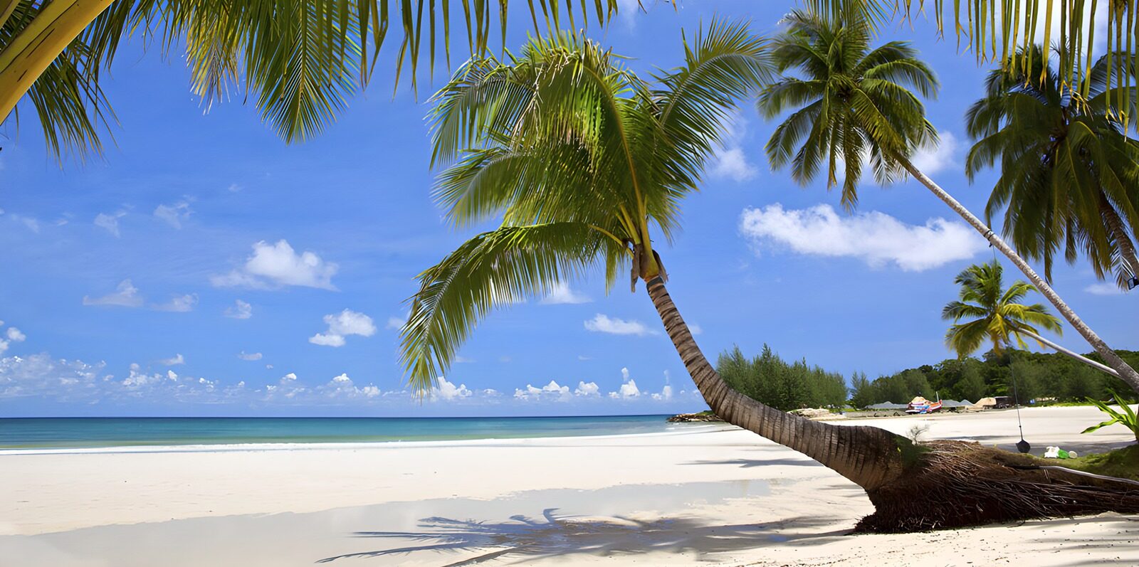 TP15054: Prachtig tropisch strand met palmbomen