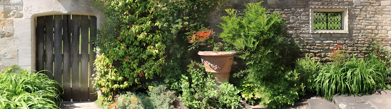 TP75476: Groene poort in weelderige tuin