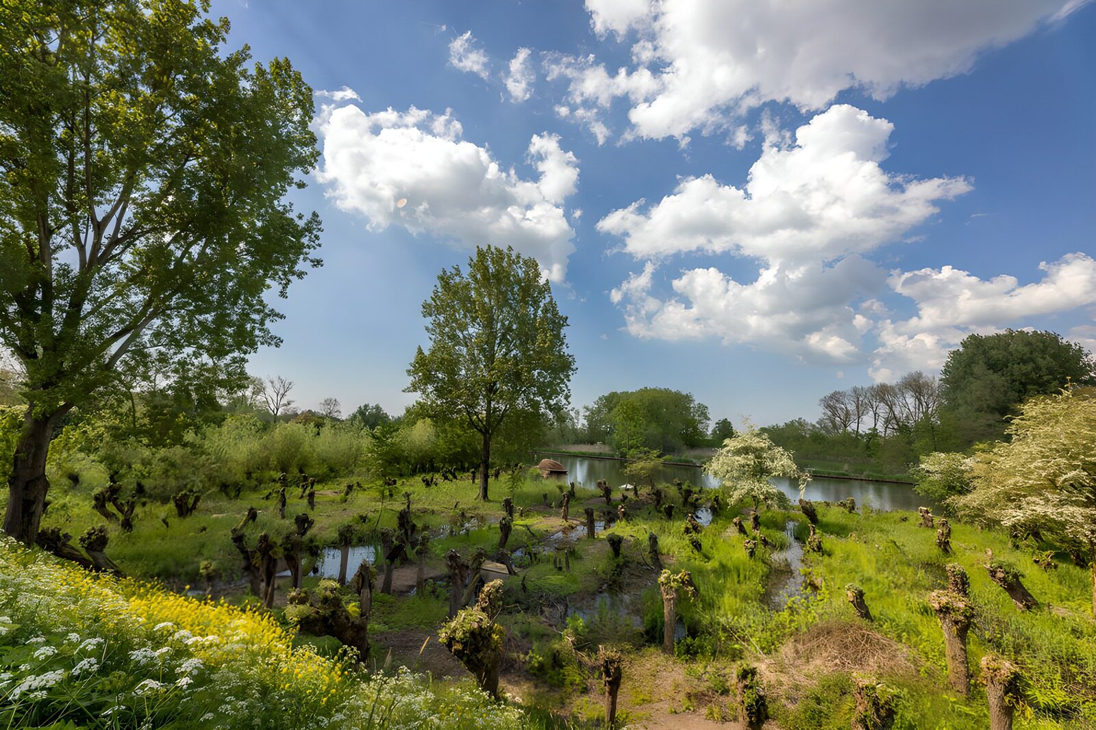 TP40041: Groene natuur met luchtige wolken