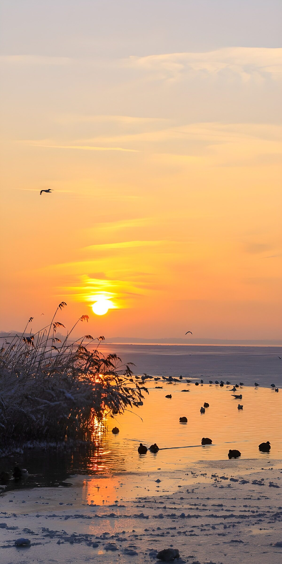 Zonsopgang boven het winterse water