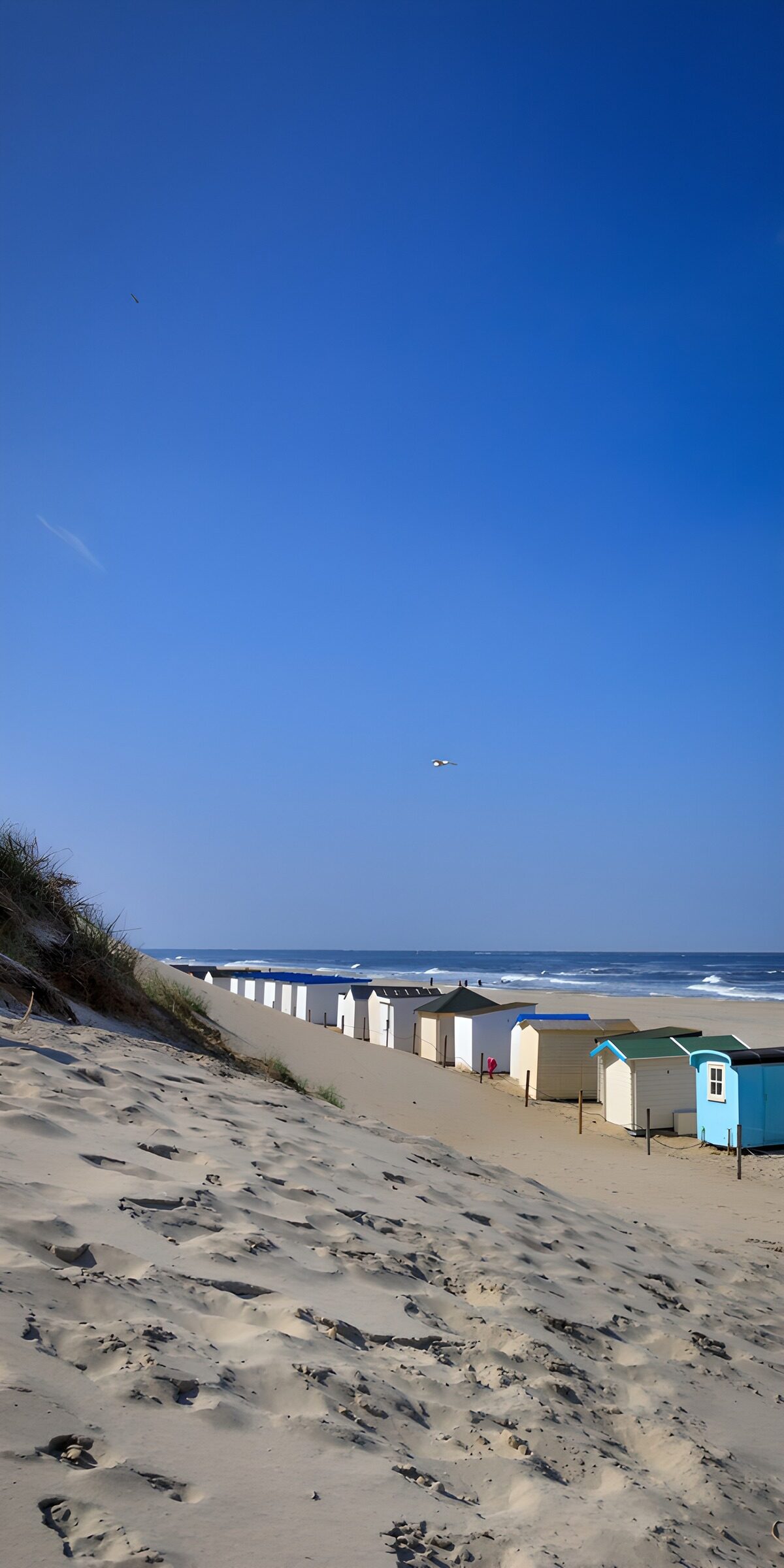 TP22658: Strandhuisjes aan zee