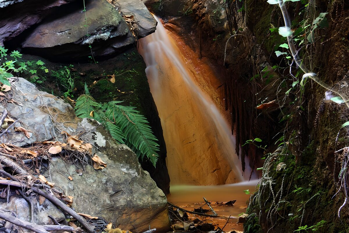Waterval in het Bos