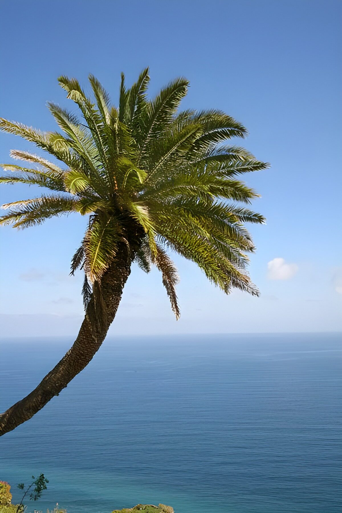 TP87263: La Gomera 24