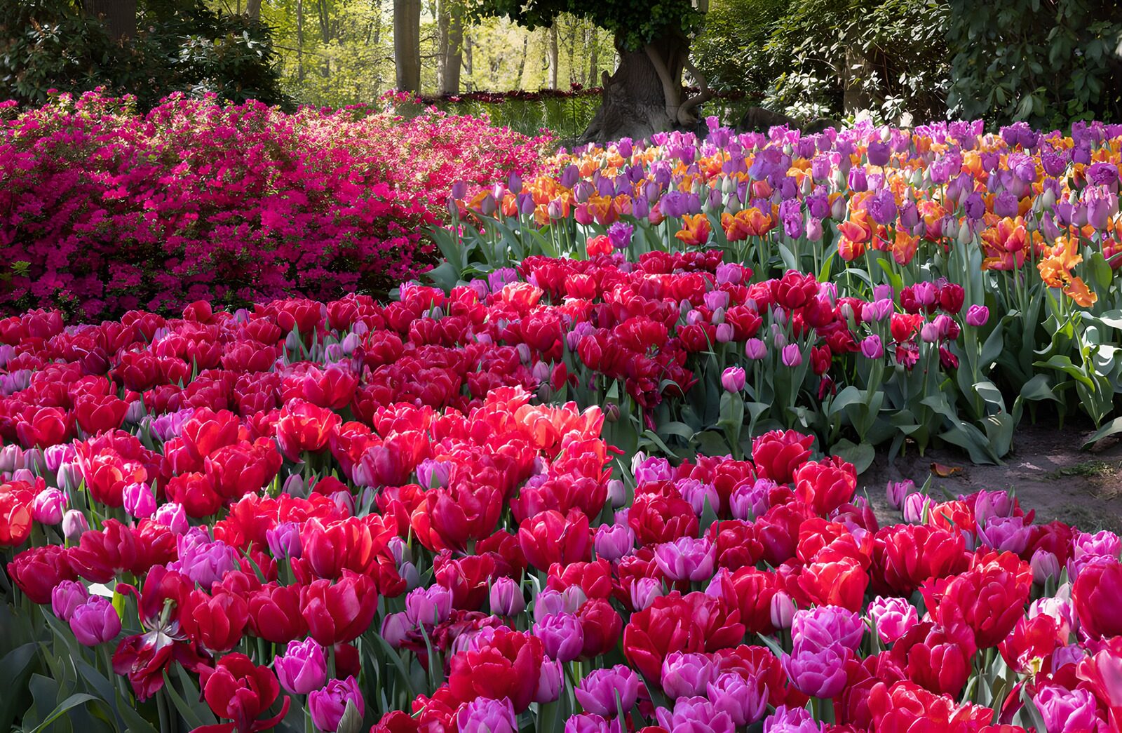 TP41495: Kleurrijke Bloemenpracht in de Lente