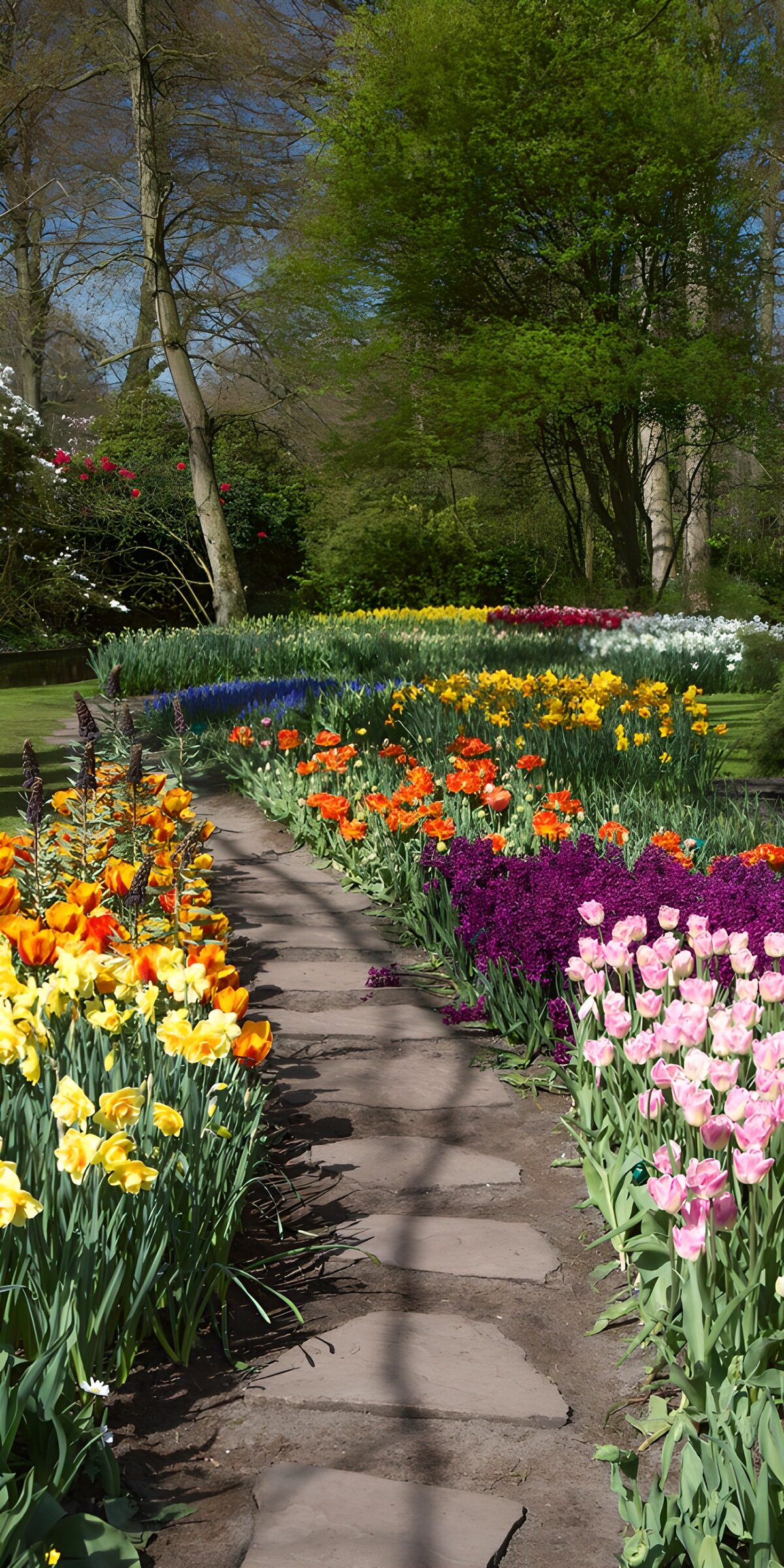 TP91719: Kleurrijke Bloemenpaden in de Lente