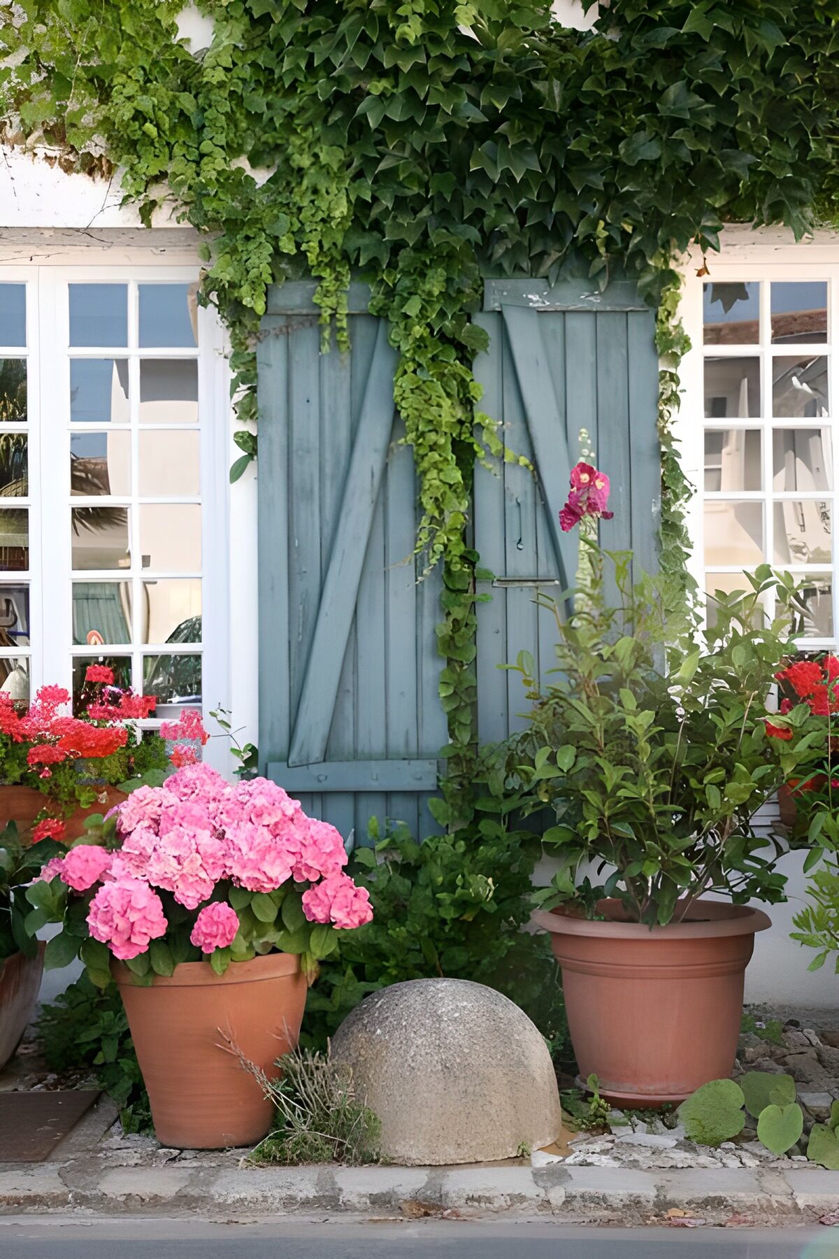 Bloemen en planten in potten bij luikjes met klimop