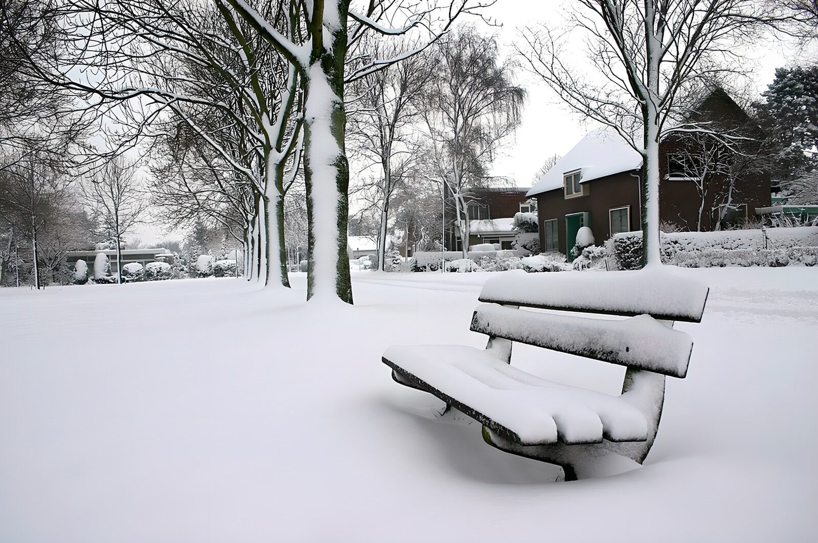TP48625: Bankje met sneeuw