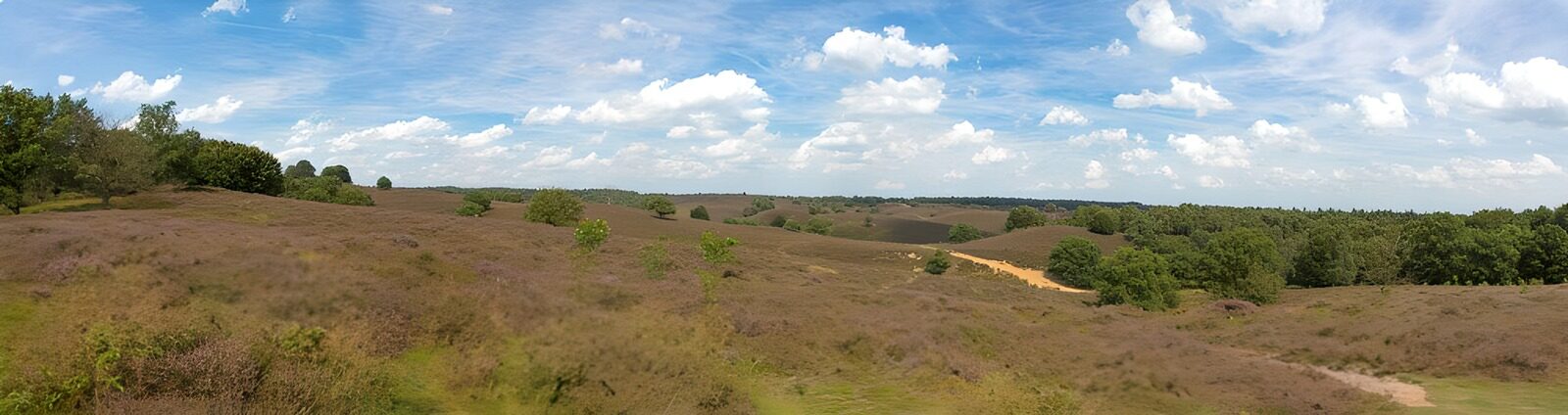 TP64340: heide uitzicht 3