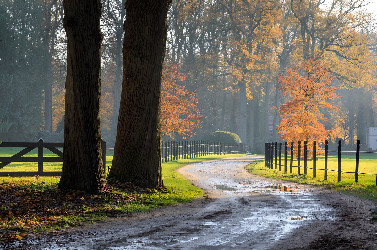 Herfstwandeling langs een kromme weg