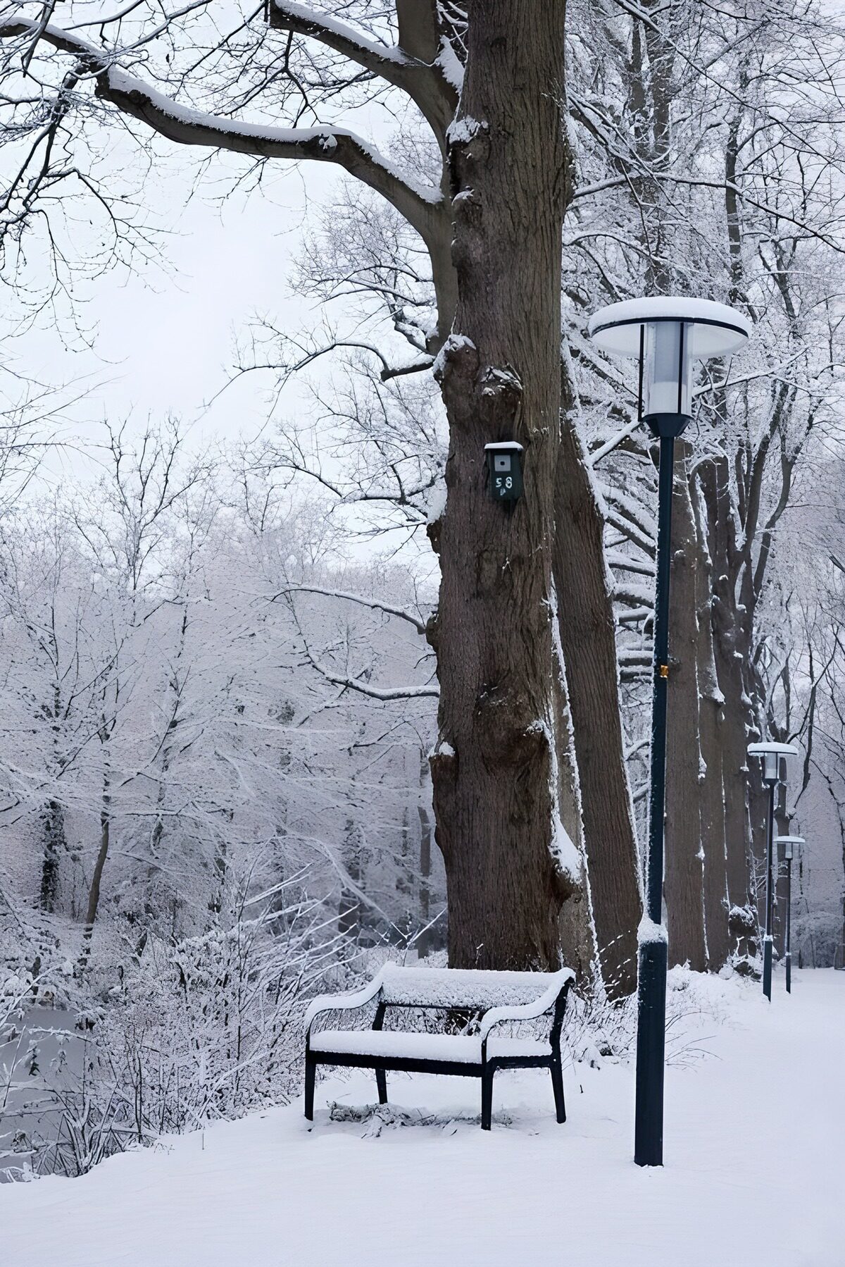 Bankje met lantaarn in de sneeuw