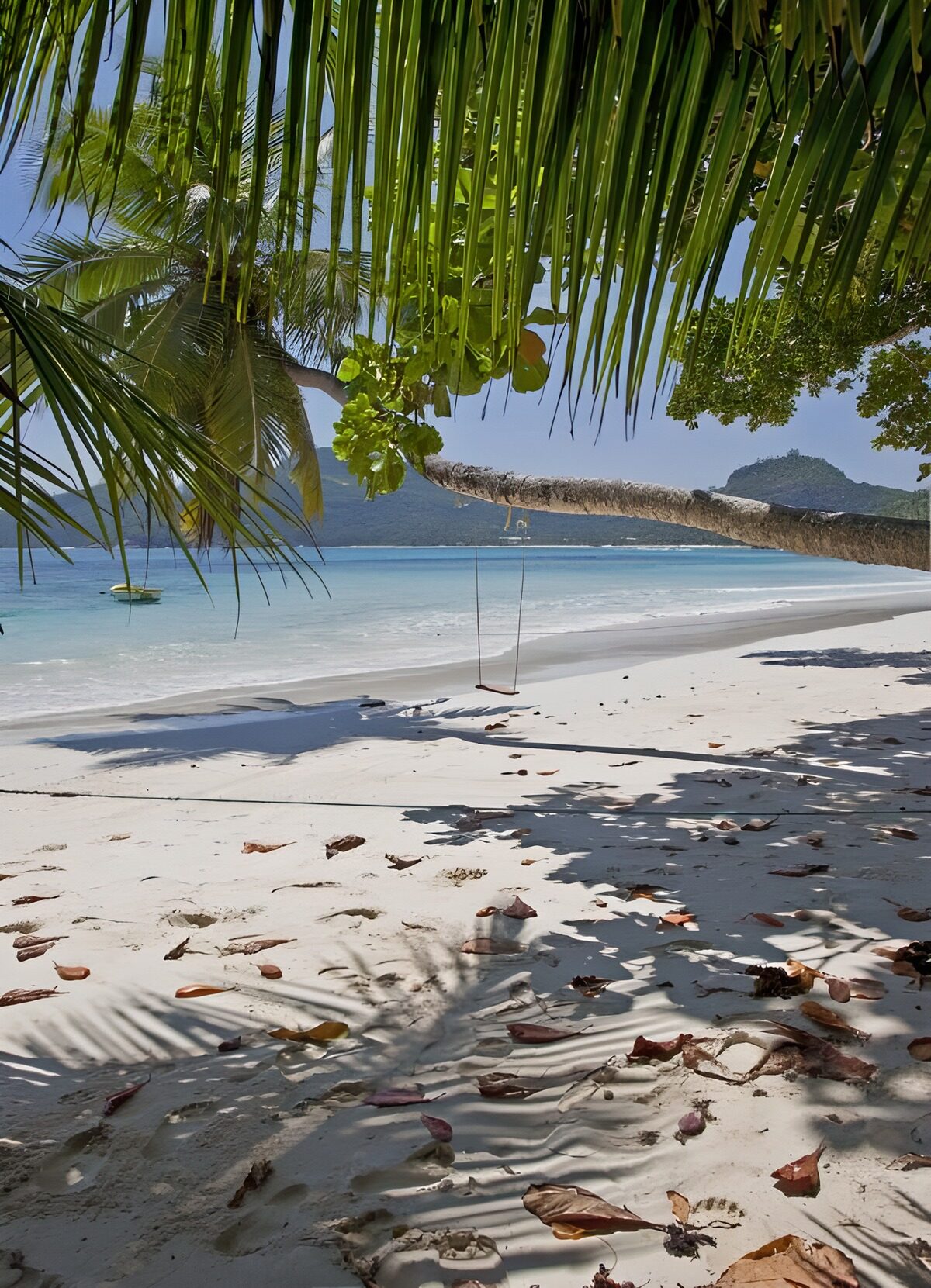 TP76499: Paradijselijk strand met palmbomen