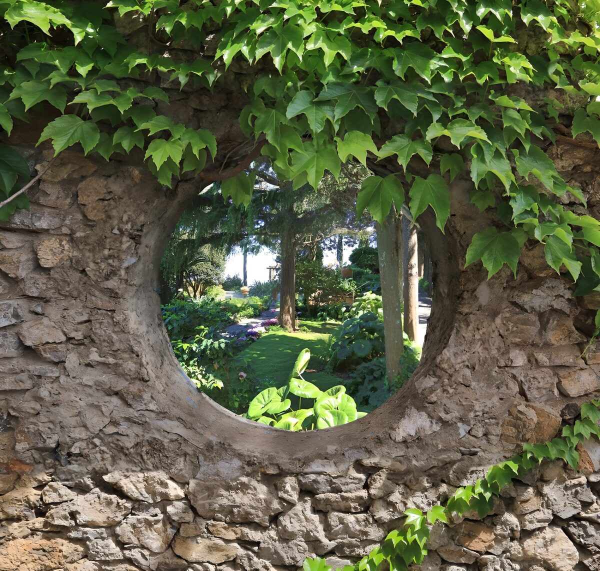 TP62666: Muur met ronding begroeid met Hedera en uitzicht op park