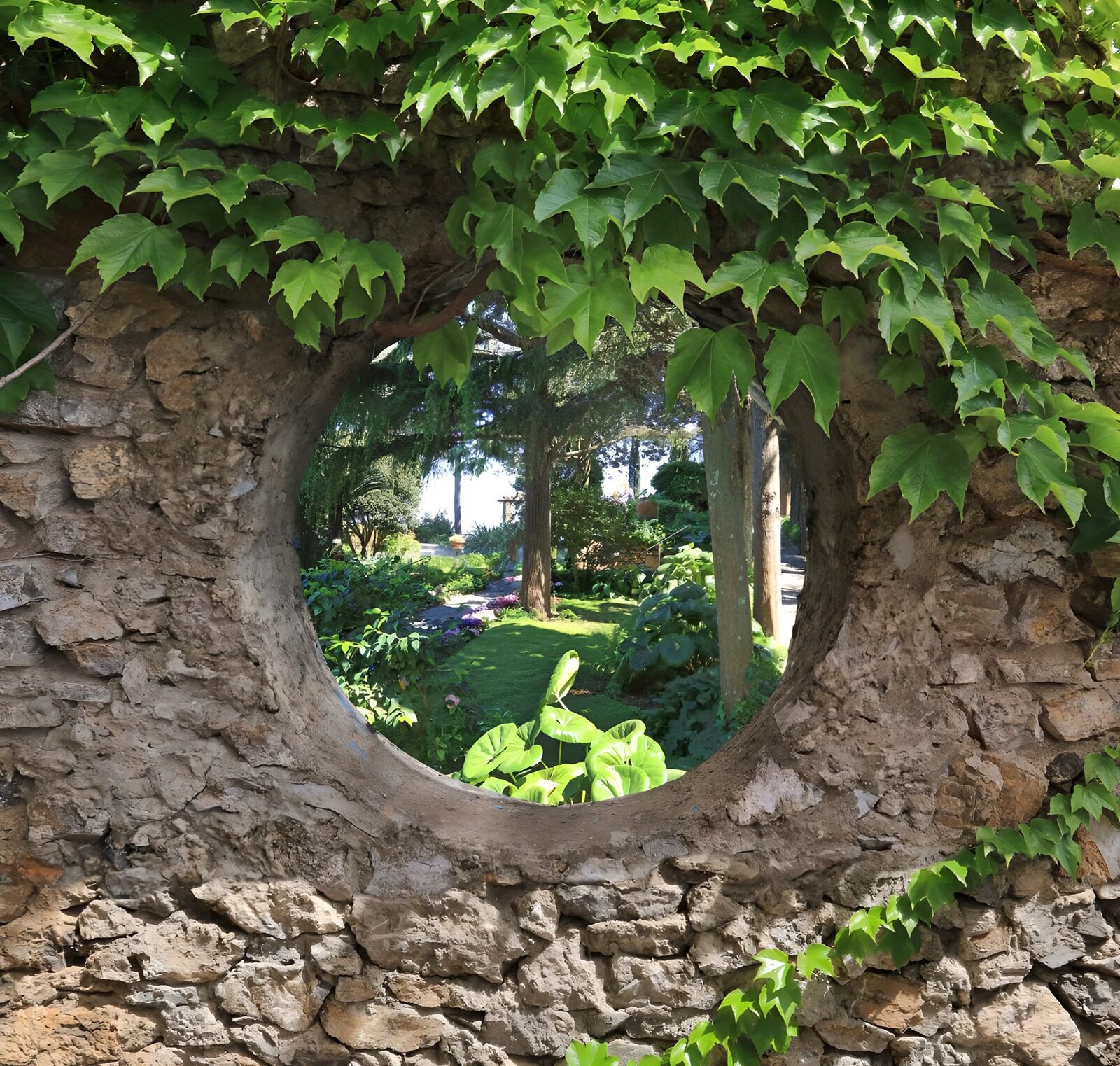 TP62666: Muur met ronding begroeid met Hedera en uitzicht op park