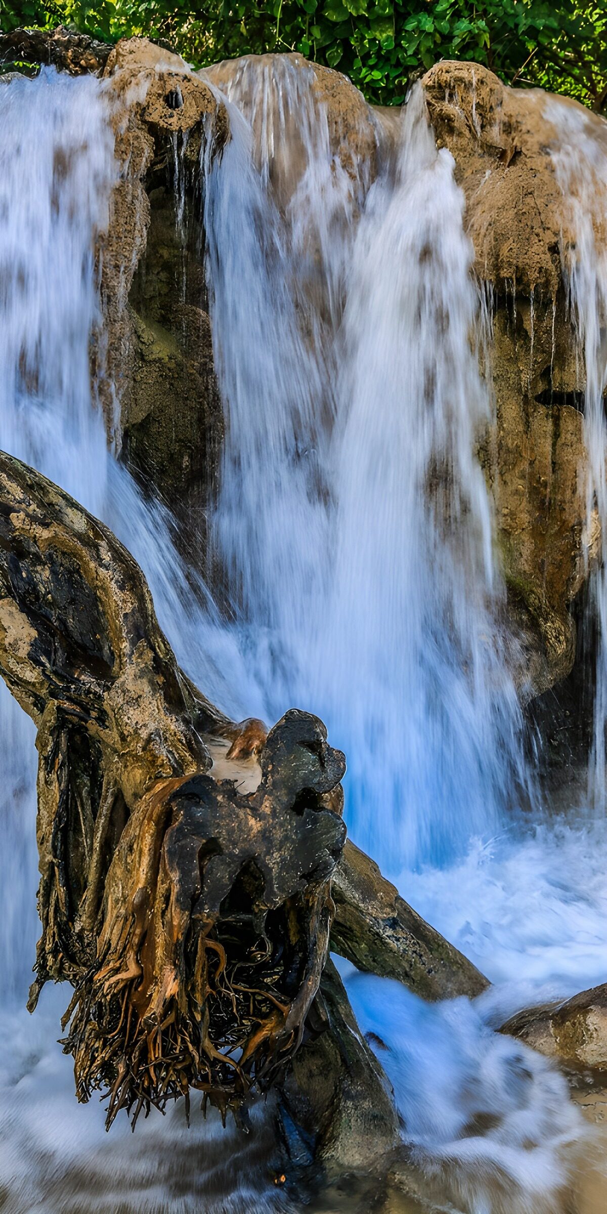 Waterval met Wortels in Beeld
