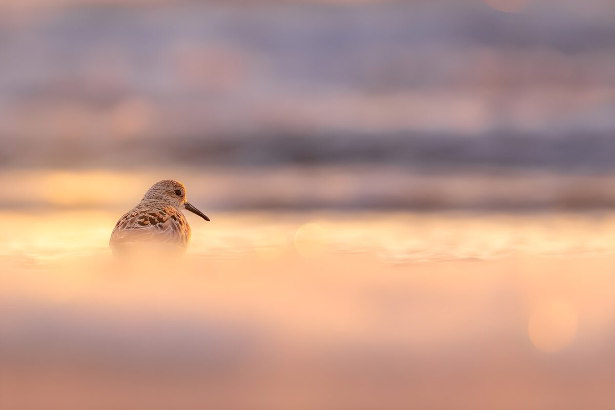 Stilte aan de kust bij zonsondergang