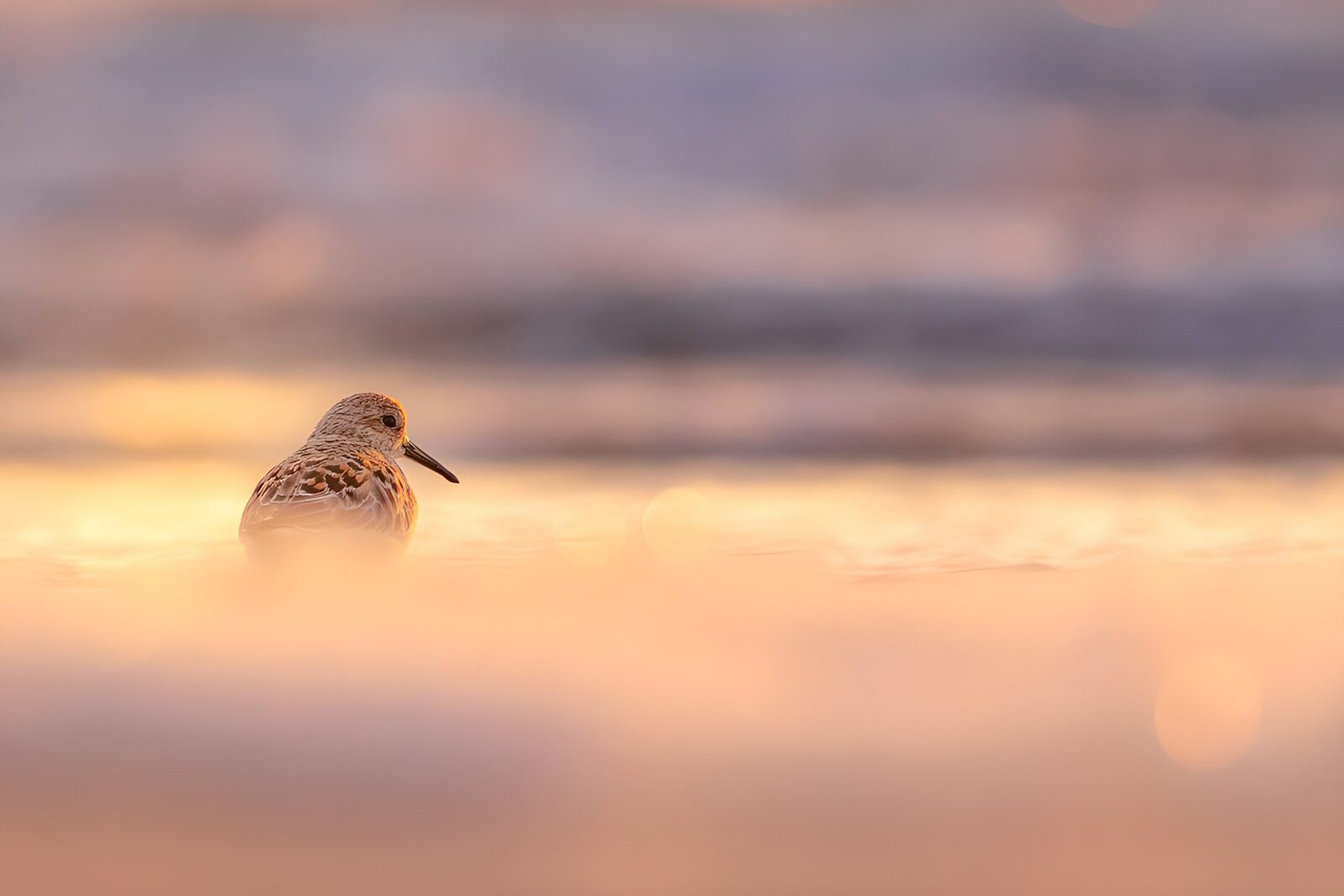 TP53175: Stilte aan de kust bij zonsondergang