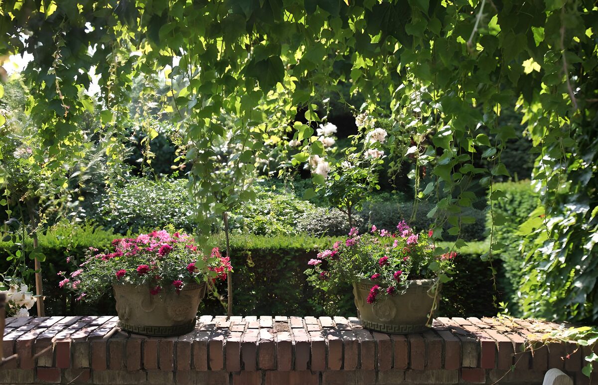 TP30092: Bloeiende potten in groene tuin