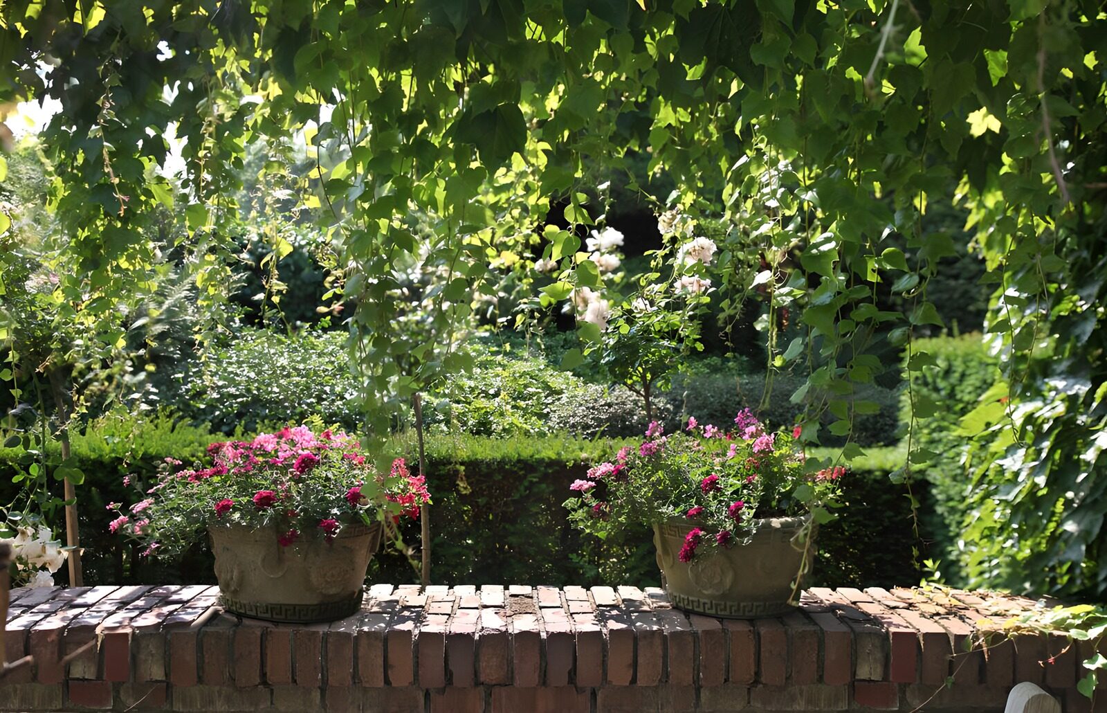TP30092: Bloeiende potten in groene tuin