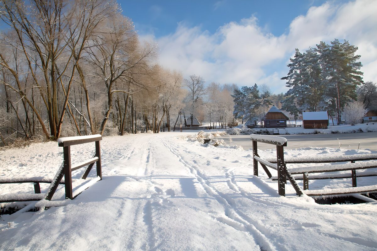 Winterse wandeling langs een bevroren pad