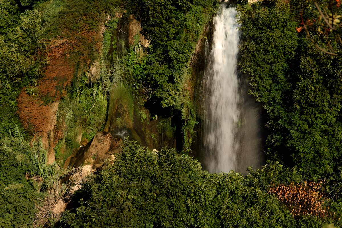 Waterval omringd door weelderige natuur
