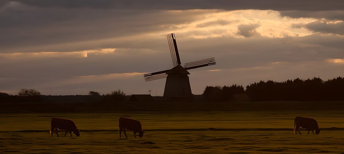 Molenaarslandschap bij zonsondergang