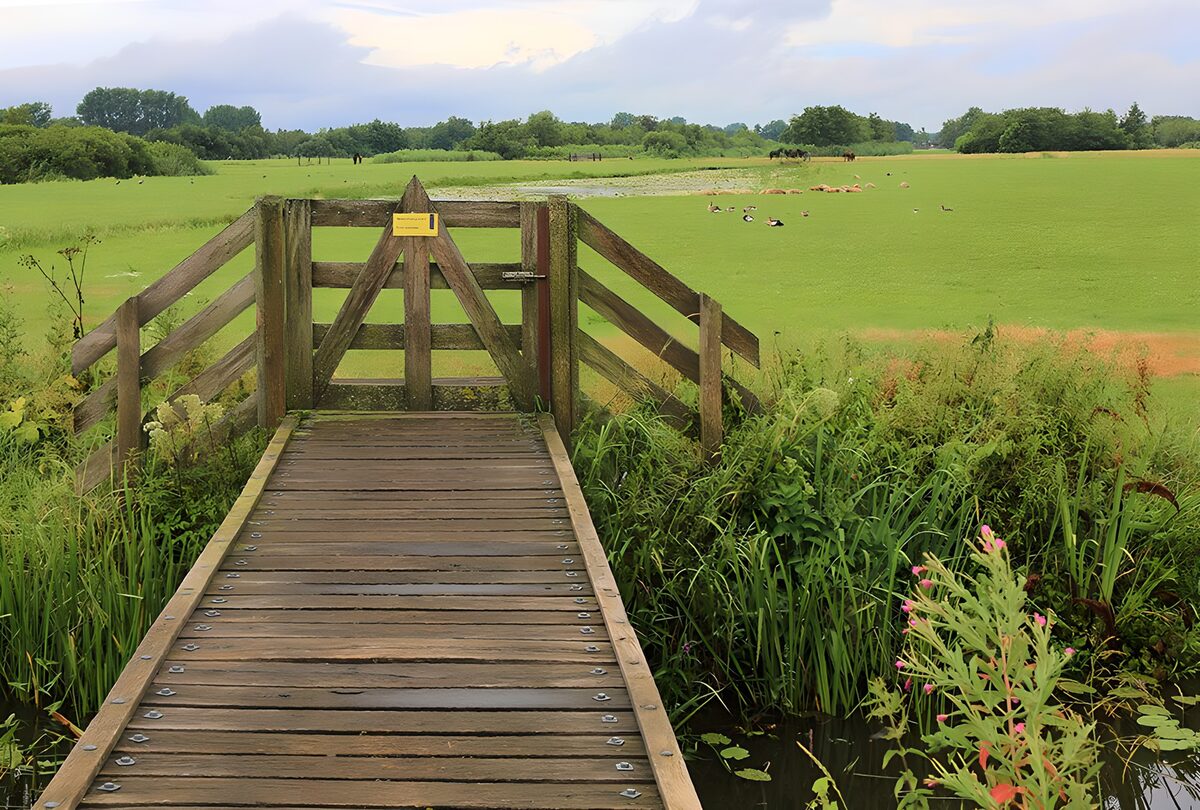 Bruggetje over sloot met hekje naar weiland 1