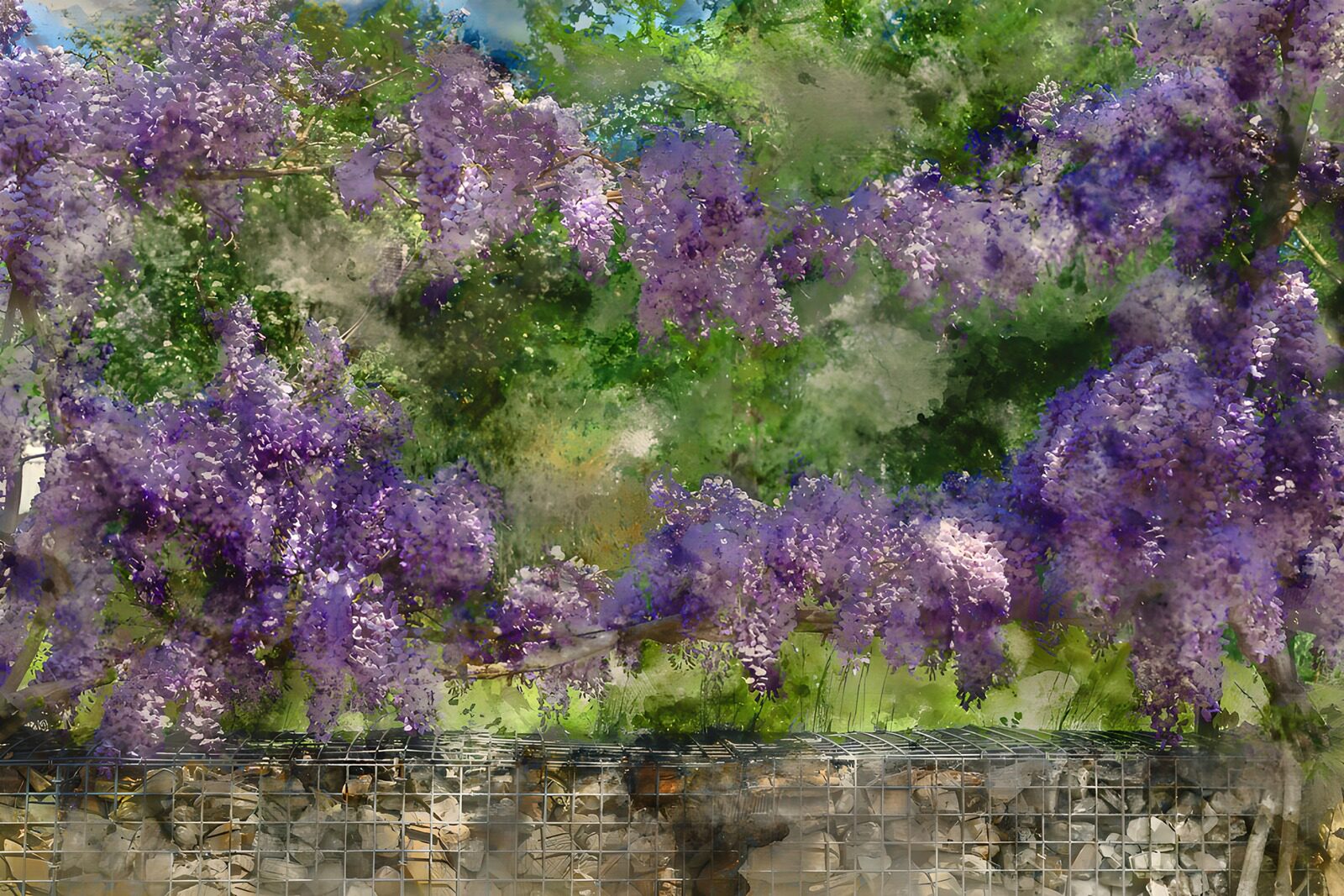 TP30855: Prachtige paarse bloesems