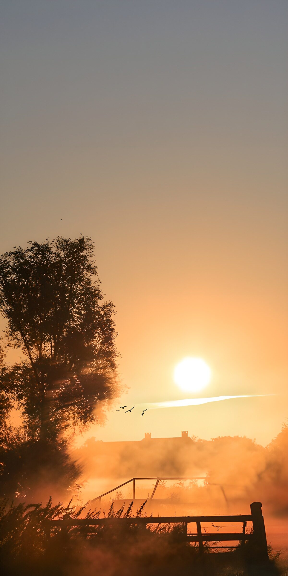 Zonsopgang boven mistige wateren