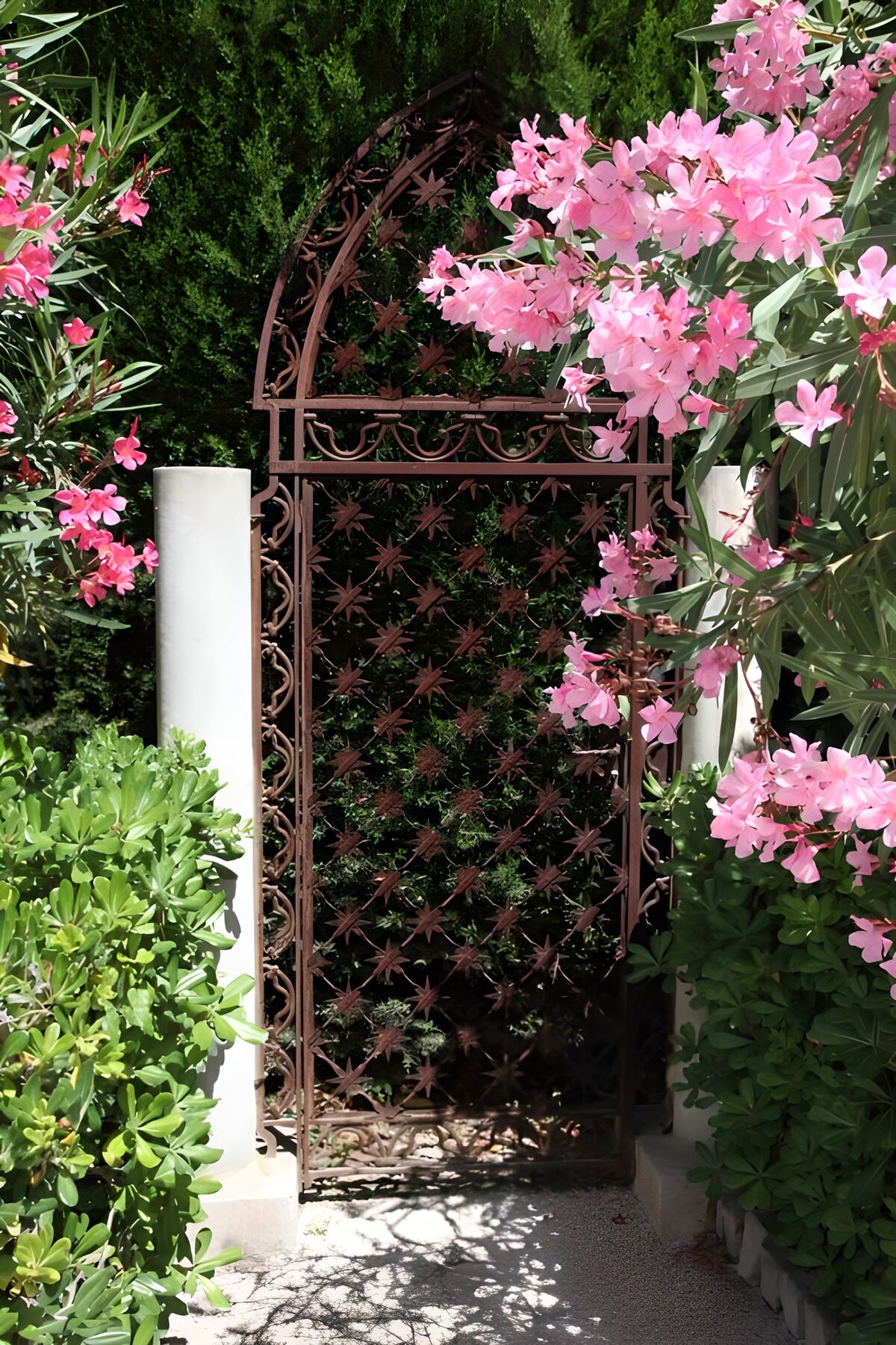 Sierlijke Poort omgeven door Bloemen
