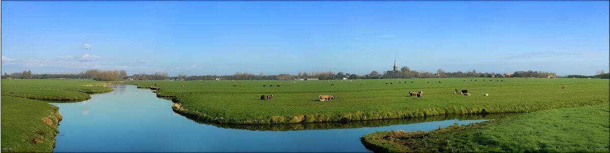 Hollandse Graslandschappen 11