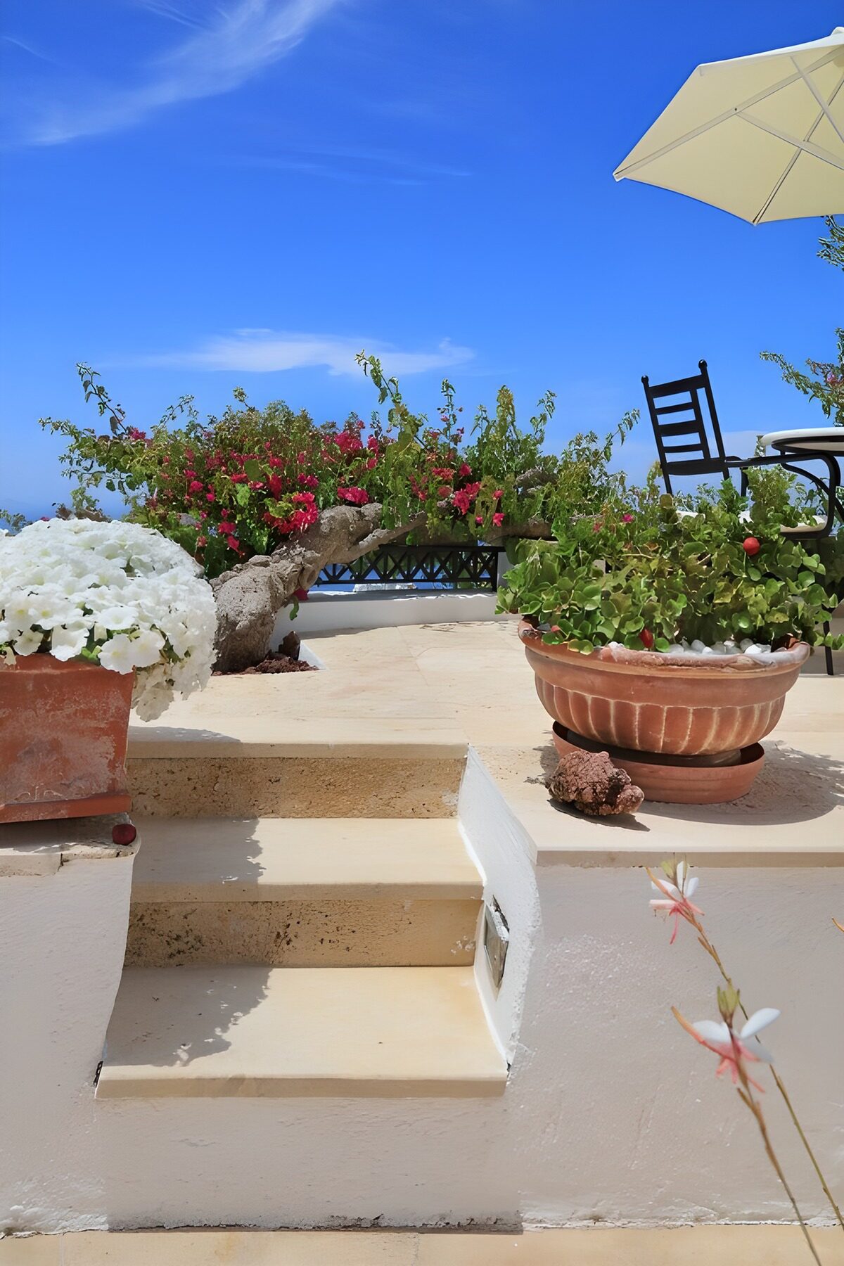 Zonovergoten terras met bloemen