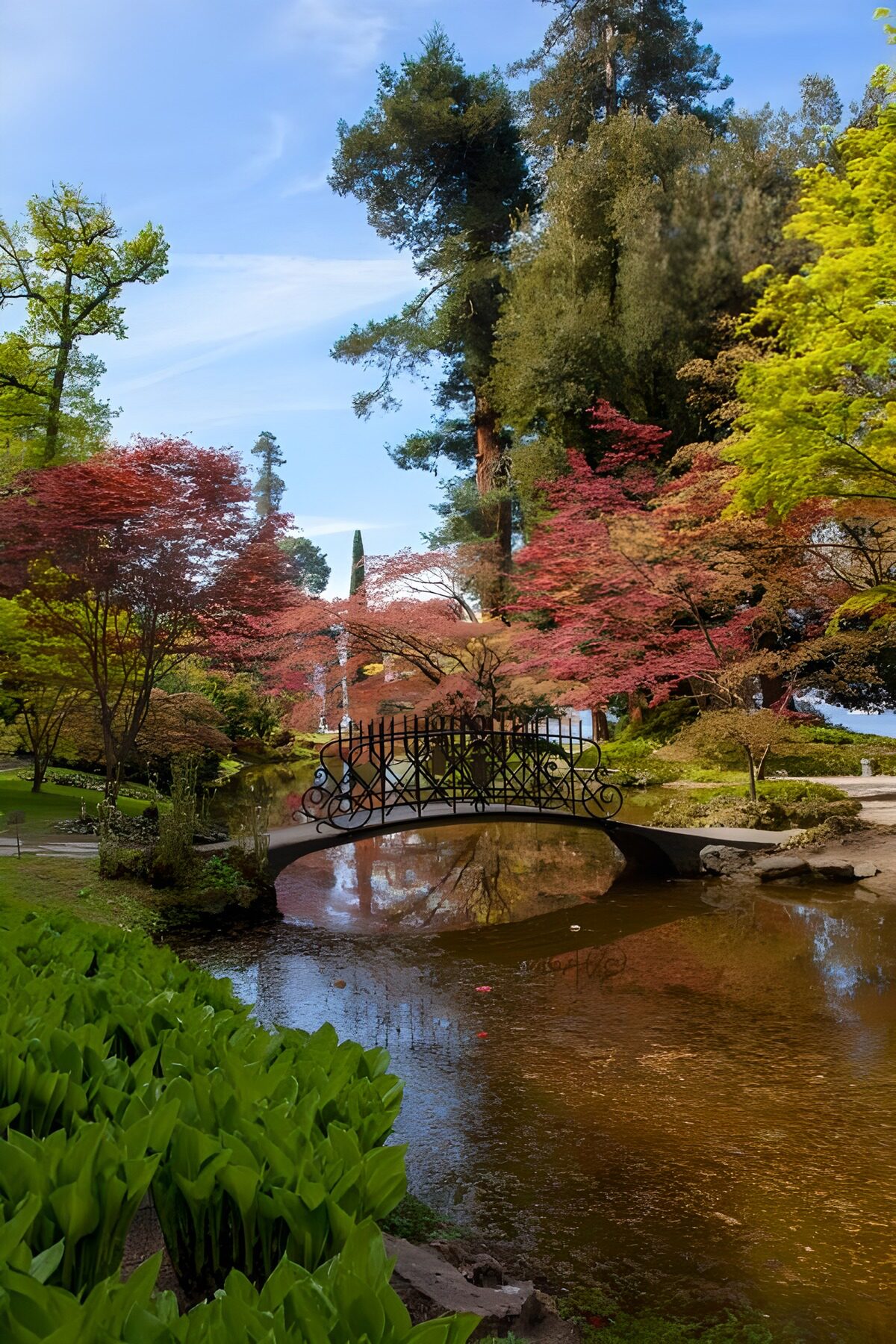 TP30199: Japanse tuin met bruggetje