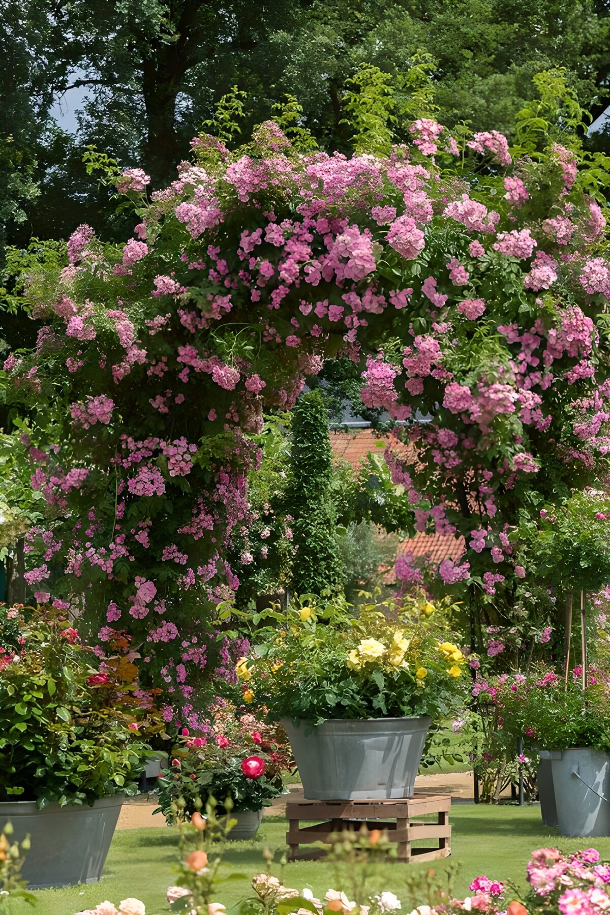 TP88679: Bloemenboog in een kleurrijke tuin