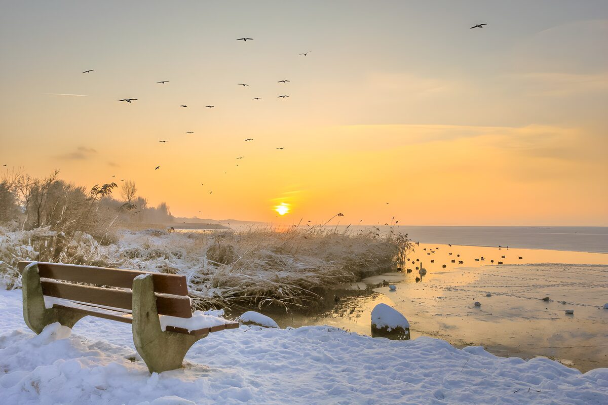 Bankje bij meer met vogels en zonsondergang
