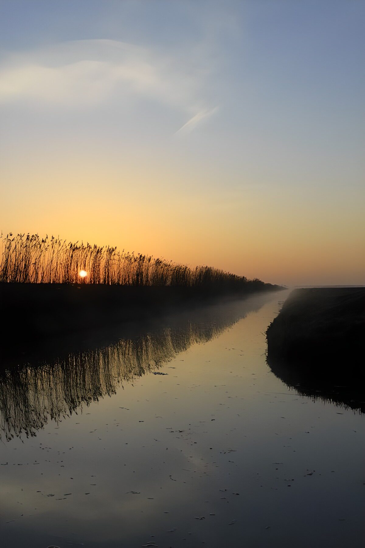 TP56779: Zonsopkomst in de polder