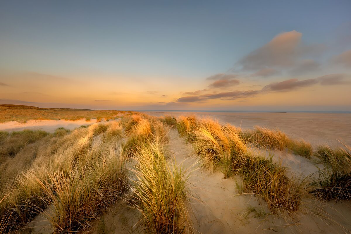 Zanderige Duinen bij Zonsopgang
