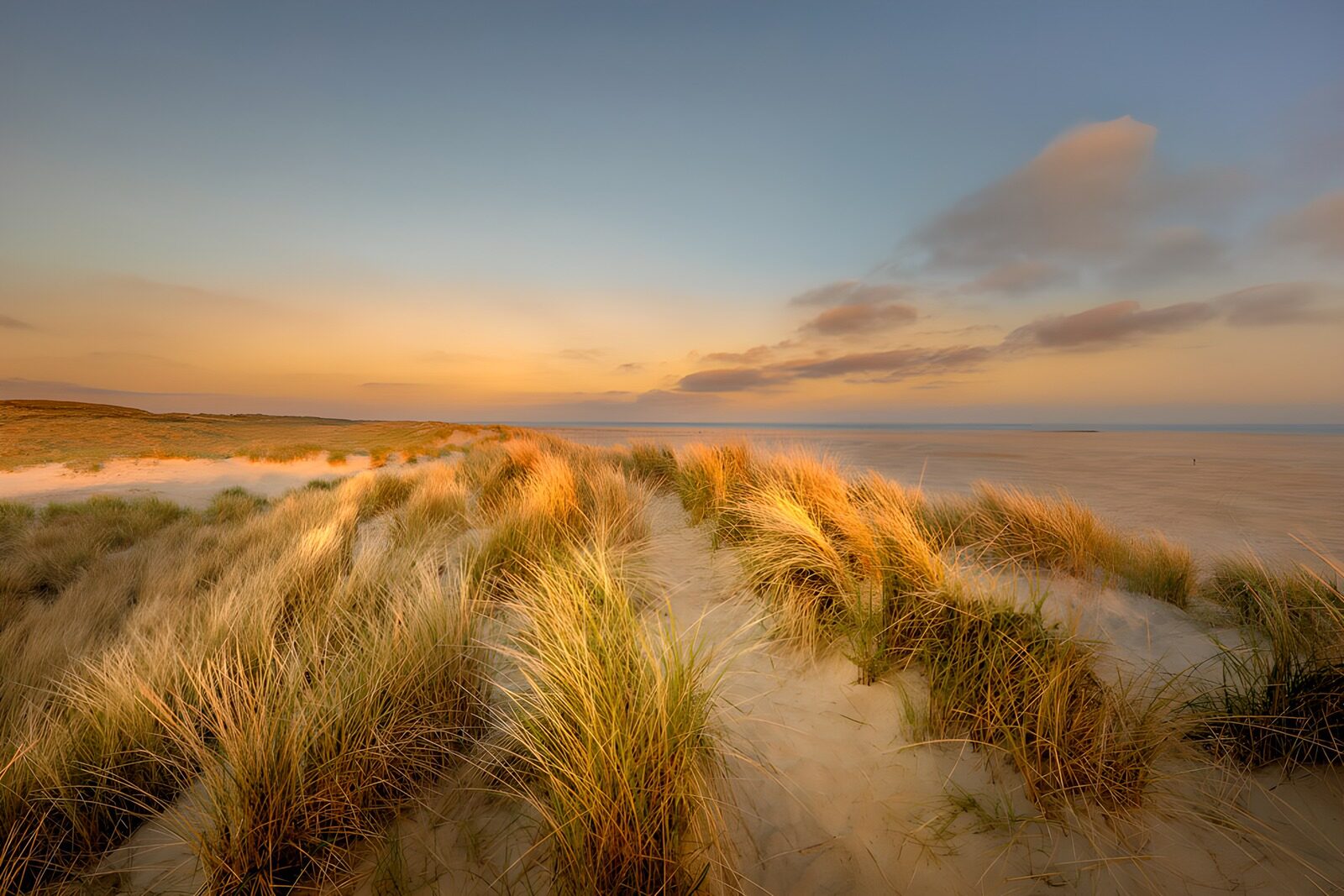 TP27621: Zanderige Duinen bij Zonsopgang