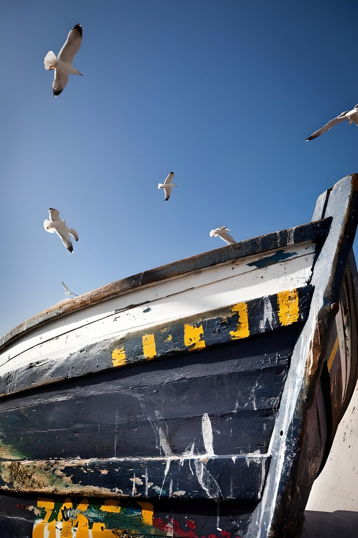 TP23290: Vissersboot onder een helder blauwe lucht