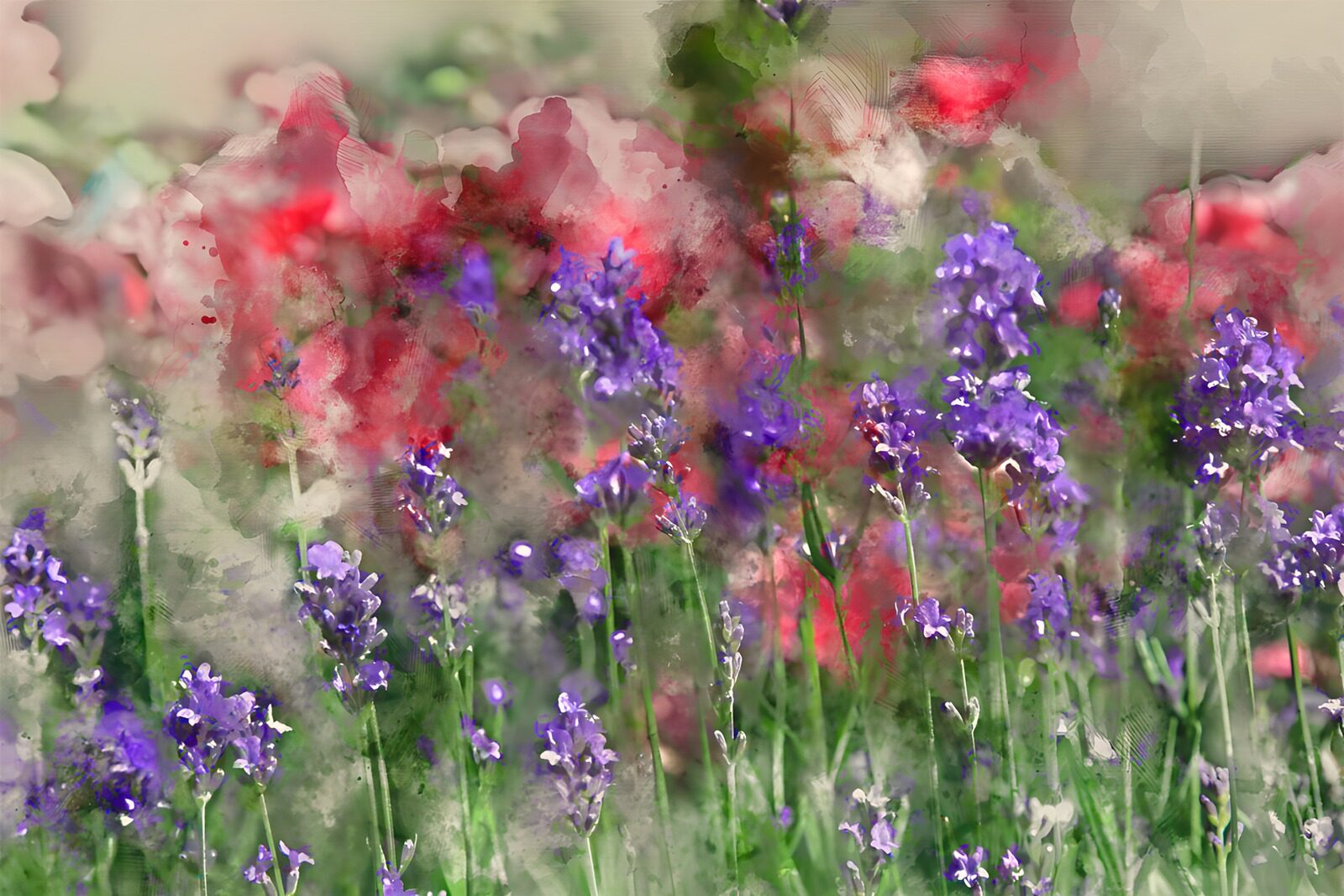 TP17459: Kleurrijke Bloemenweide in Aquarel