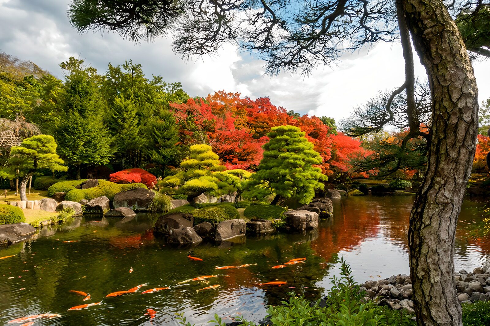 TP79394: Kleurrijke Japanse tuin met vijver