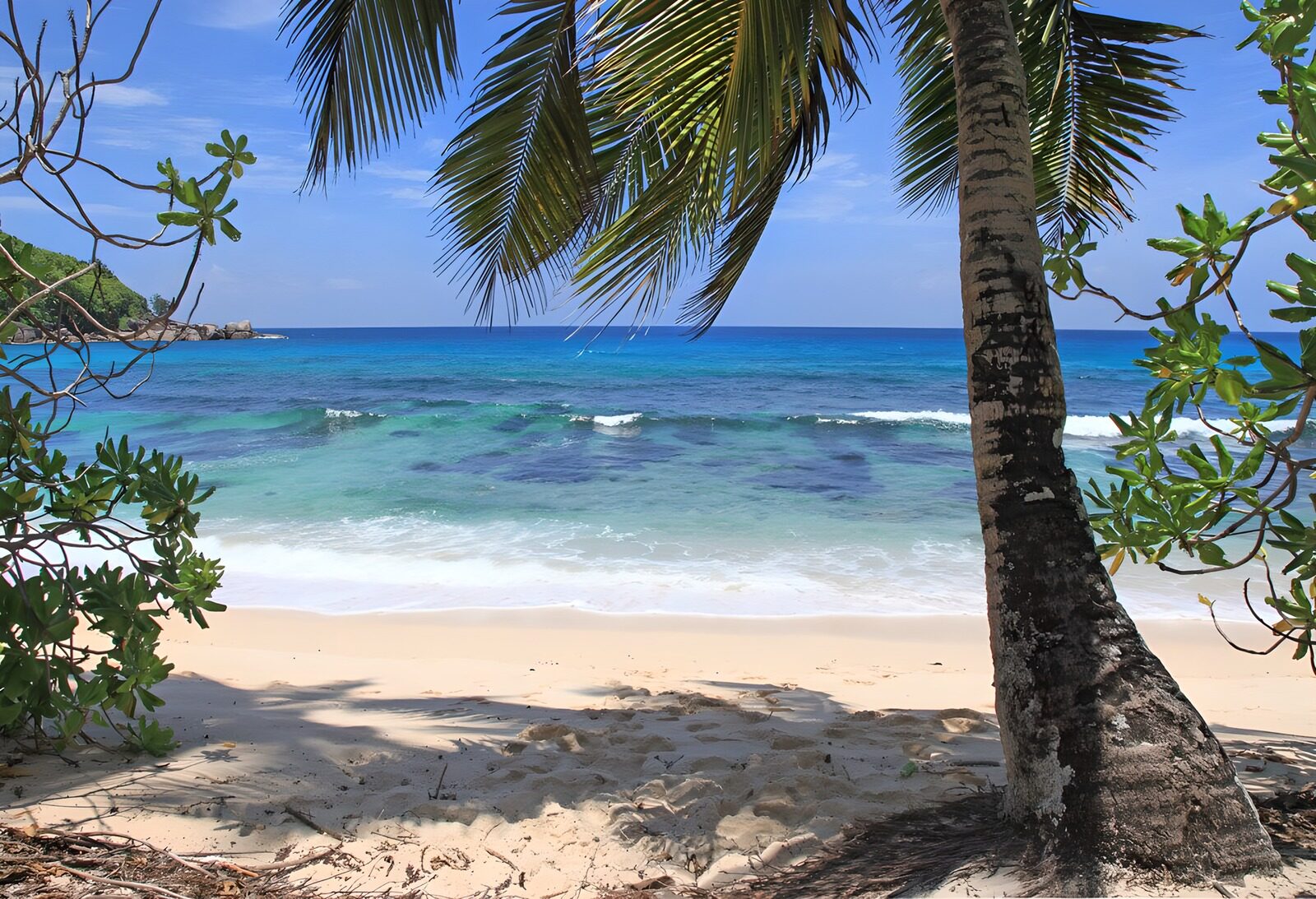 TP97389: Tropisch strandzicht met palmbomen