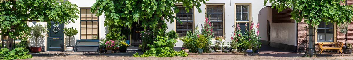 TP74166: Groene Oase in de Stadsstraat