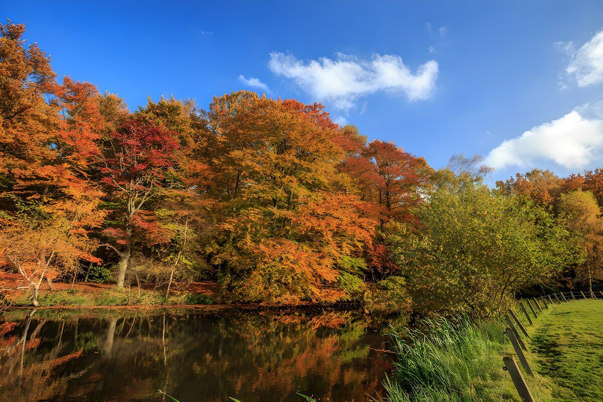 Kleurrijke herfst langs het water