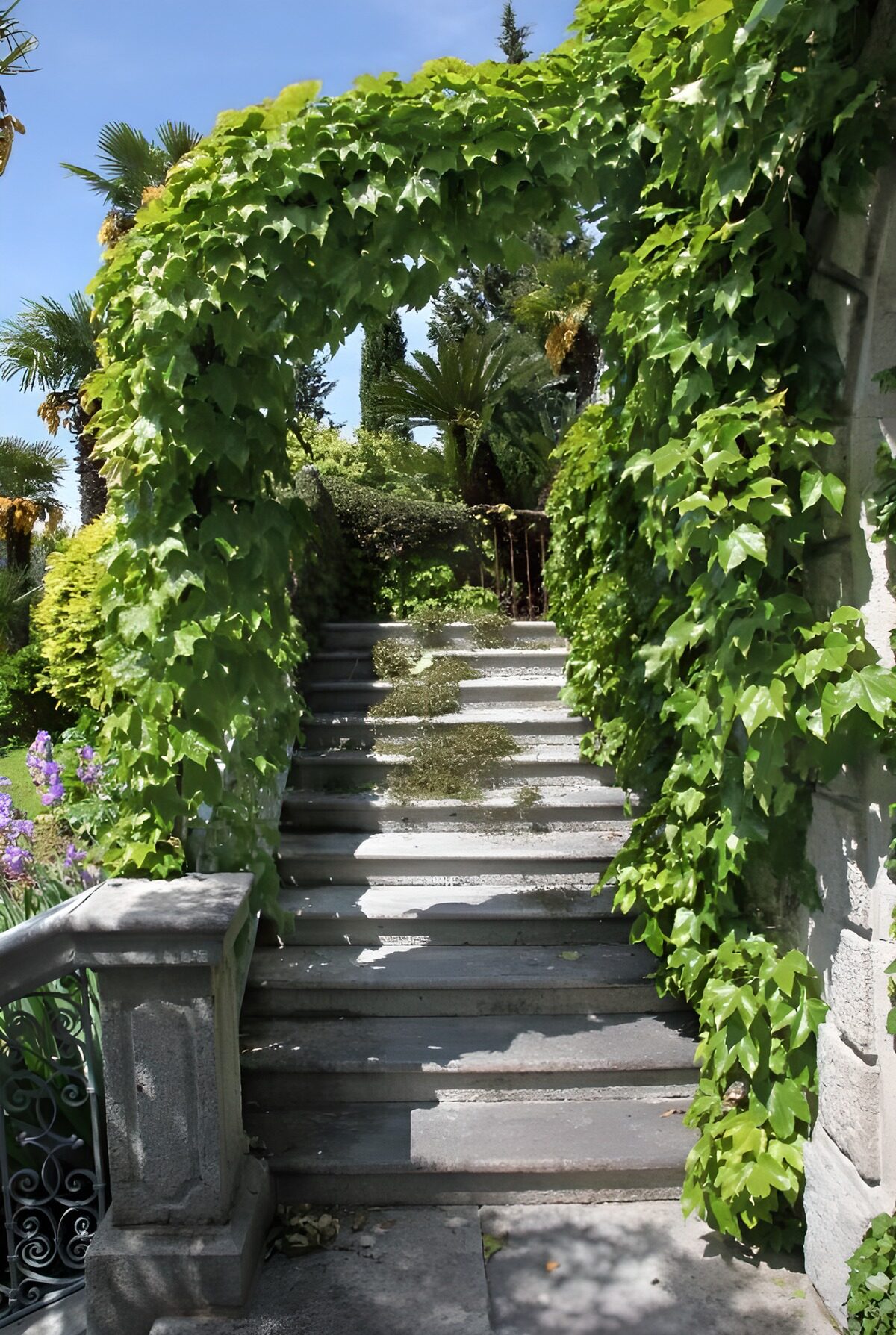 Groene Boog boven de Trappen