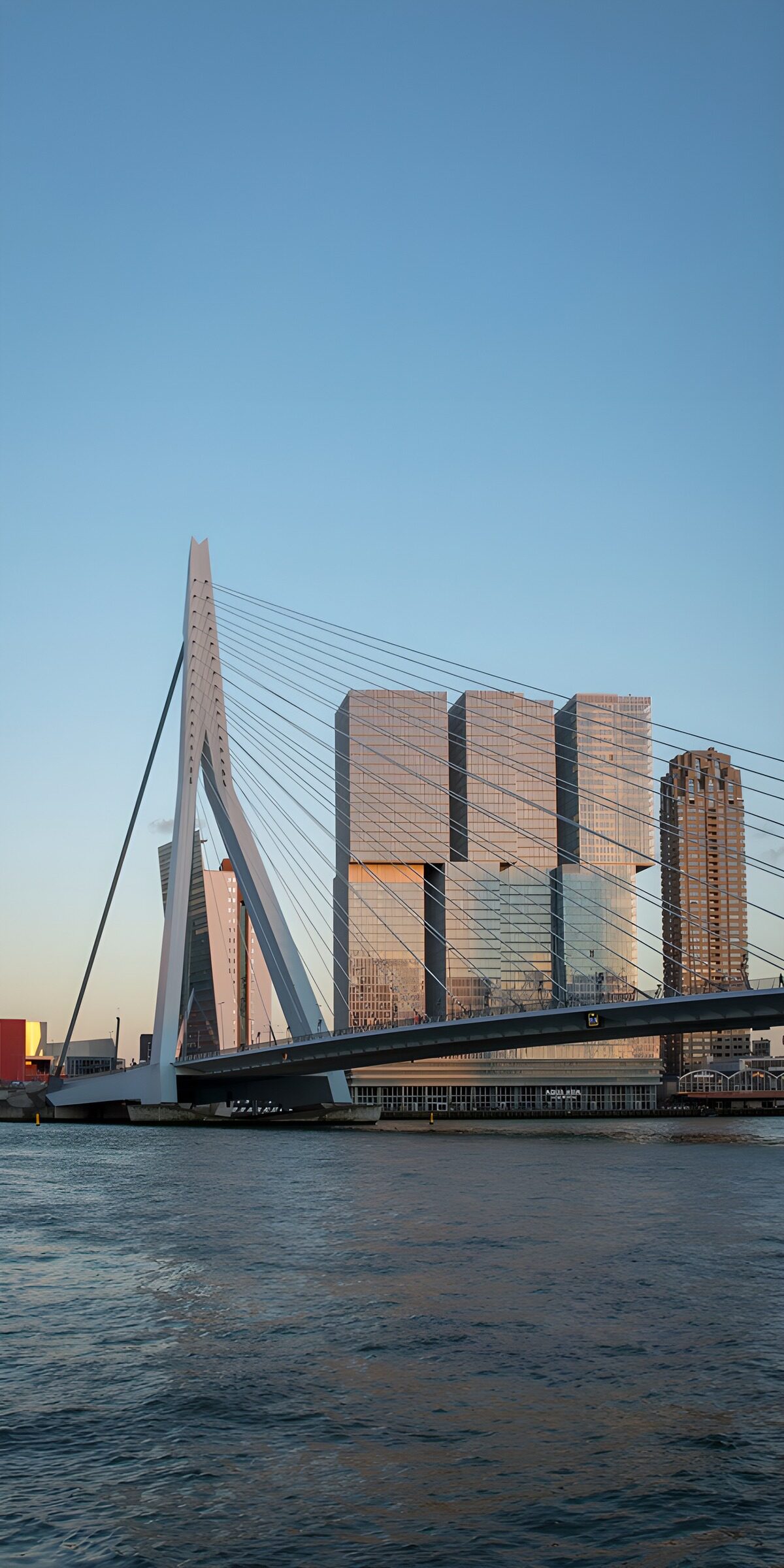 TP23771: Erasmusbrug