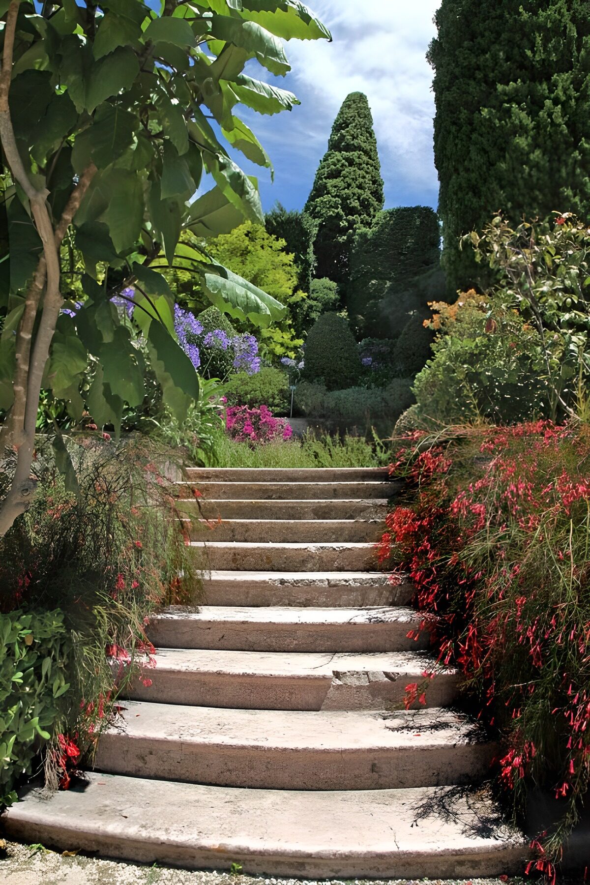 Sfeervolle tuintrap in bloeiende natuur