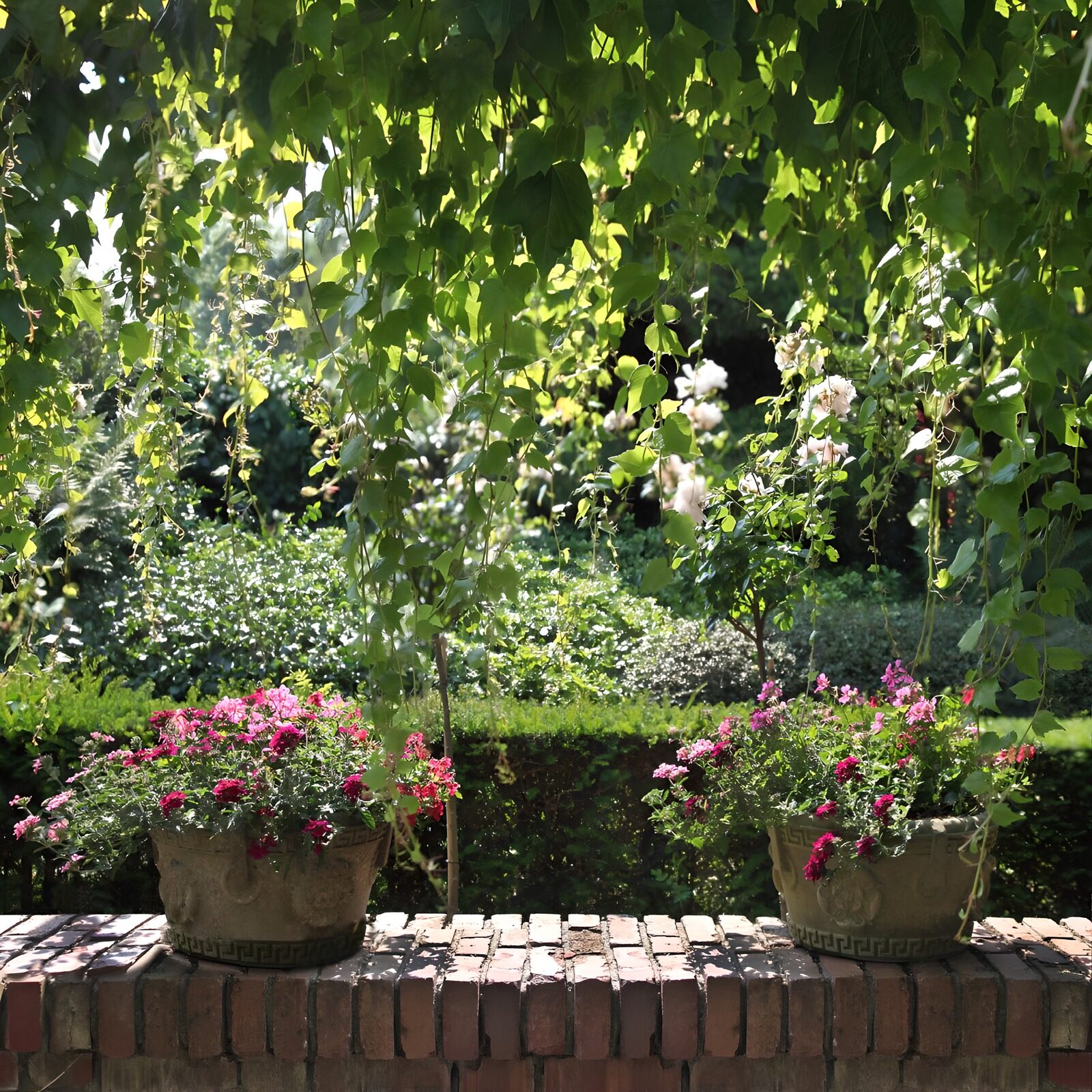 TP95759: Zomers Bloemengezicht in de Tuin