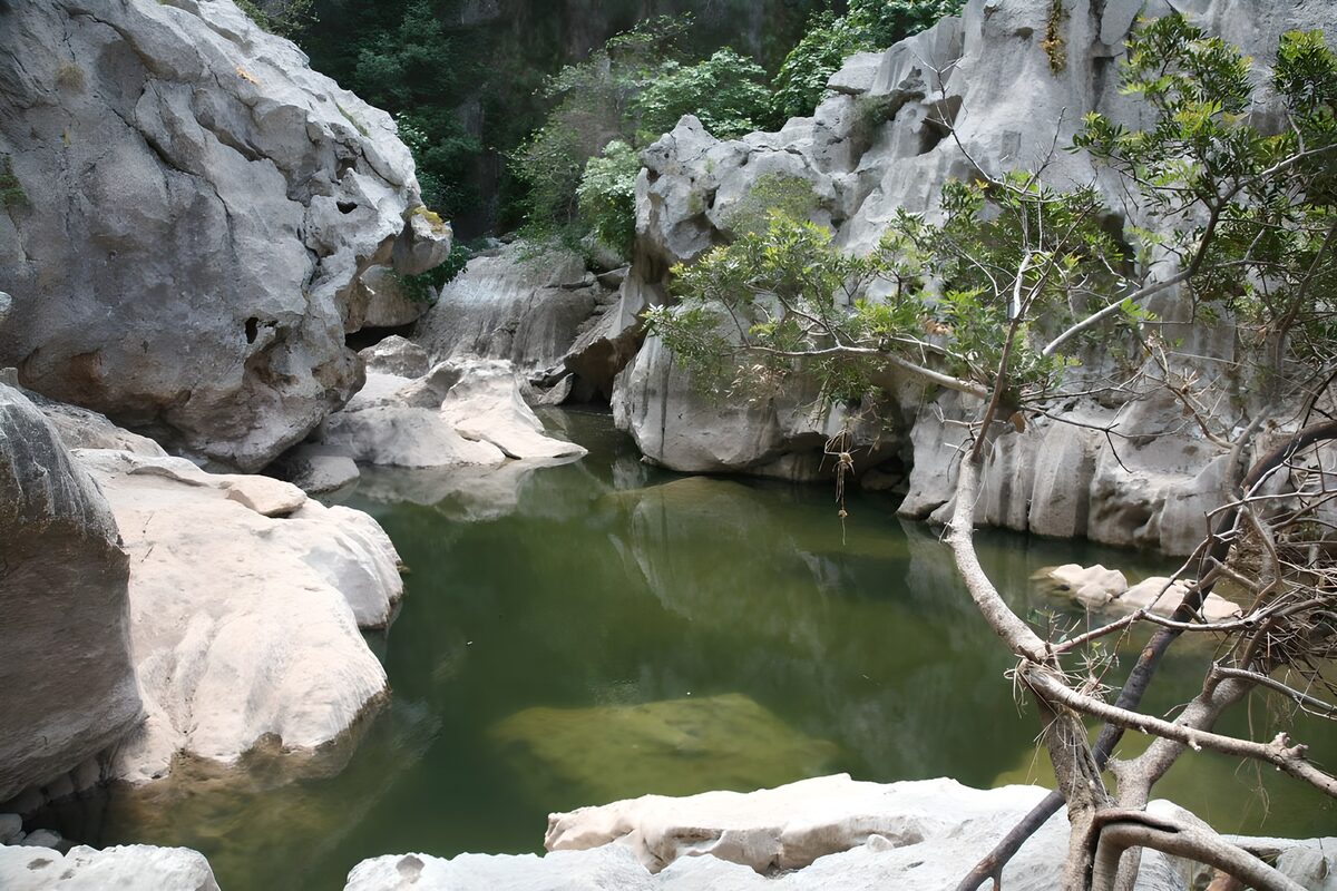 Meertje tussen de rotsen versie 6