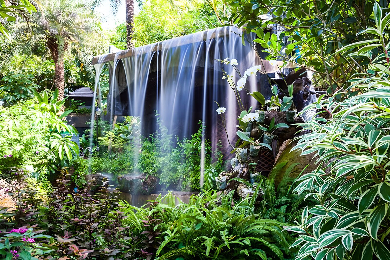 TP29154: Sereen Waterval in Tropische Tuin